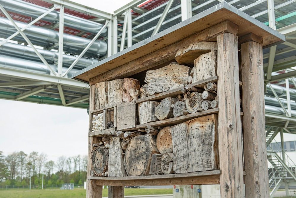 En el entorno de las plantas de Audi se han creado hábitats para insectos