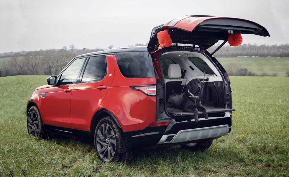 Land Rover piensa en tus mascotas - Motor
