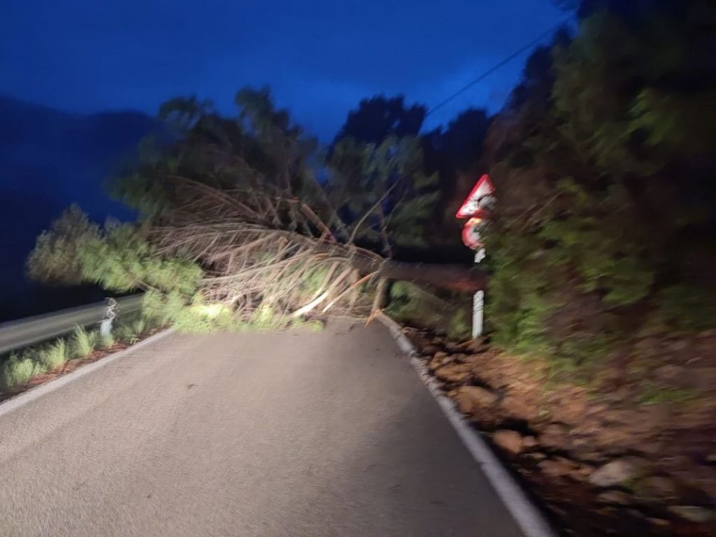 EuropaPress 4341719 carreteras provinciales afectadas caida arboles debido temporal lluvia Motor16