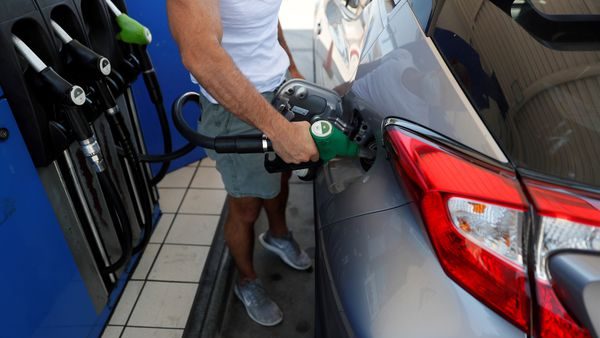 gasolina