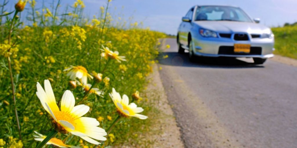 Así puedes blindar tu coche ante las alergias primaverales 32 Motor16 Consejos para conducir en primavera