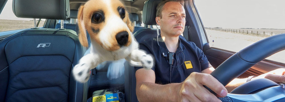 Evita la multa de la DGT por llevar a tu perro en el coche con este accesorio de 10 euros 100 Motor16 perro en el coche 10 Motor16
