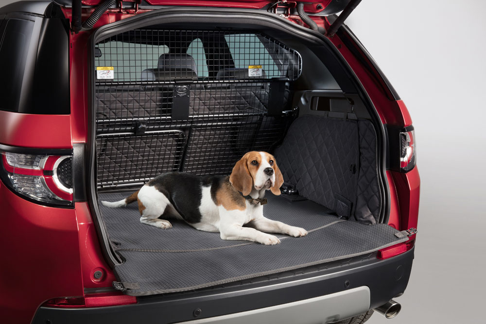 Evita la multa de la DGT por llevar a tu perro en el coche con este accesorio de 10 euros 106 Motor16 perro en el coche 14 Motor16