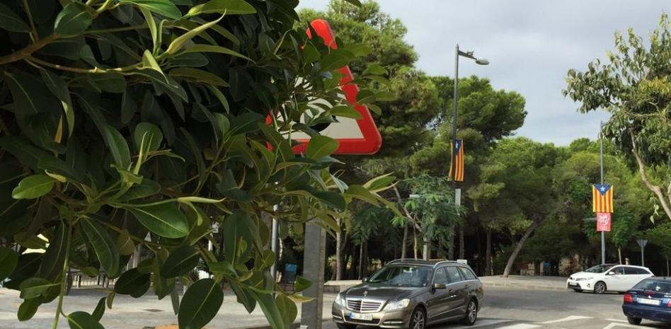 3-Crece la vegetación en primavera y perjudica al coche