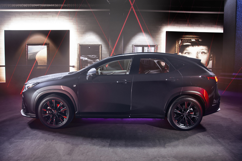 Lexus nx Diamond3 Motor16