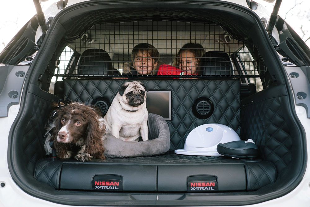 PERROS EN EL COCHE 1 Motor16