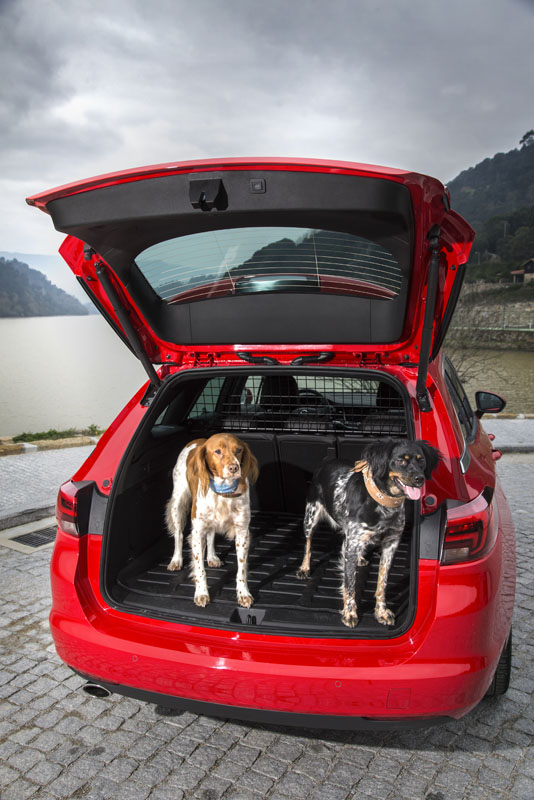 PERROS EN EL COCHE 5 Motor16
