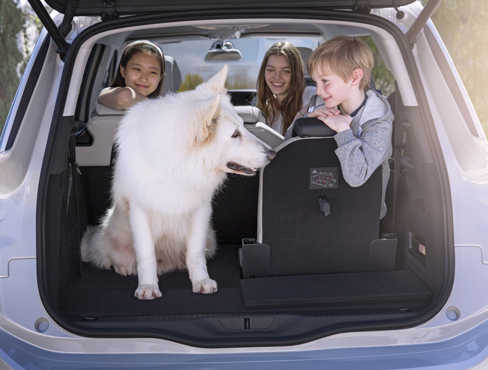 Viajar con perro o mascota