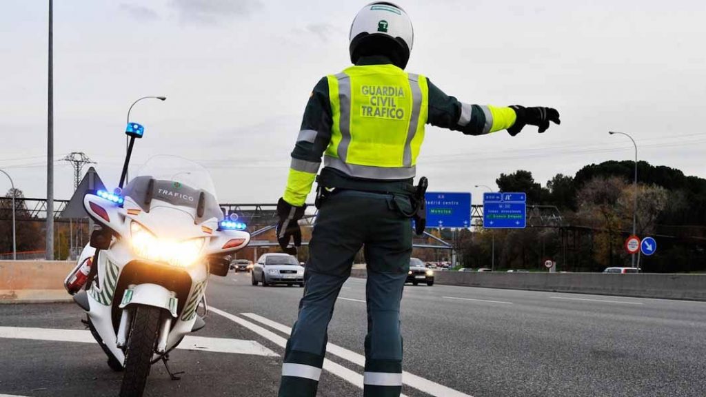 DGT: multa por llevar al perro en el coche