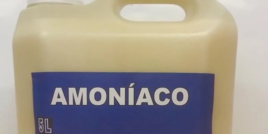El secreto para limpiar la tapicería del coche 8 Motor16 Con amoniaco