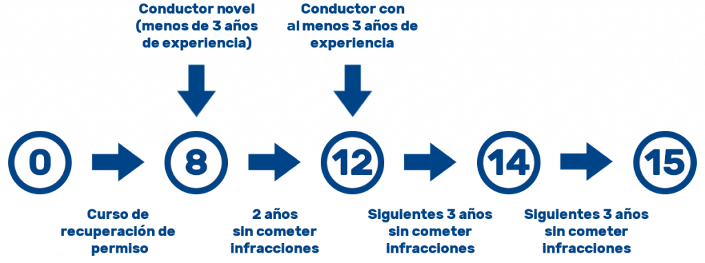 Niveles de puntos del carnet