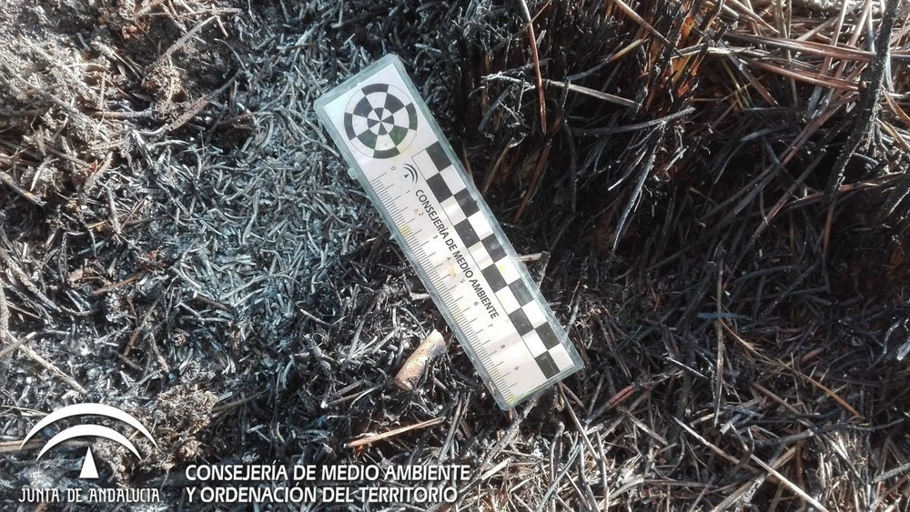 tira una colilla por la ventanilla 2 Motor16