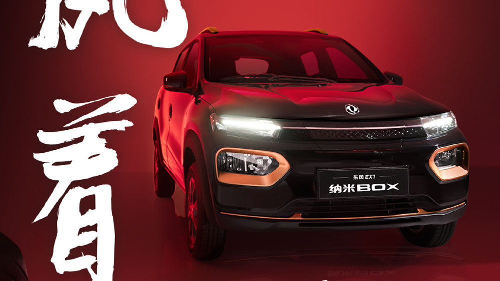 2022 Dongfeng Nano Box 11 Motor16