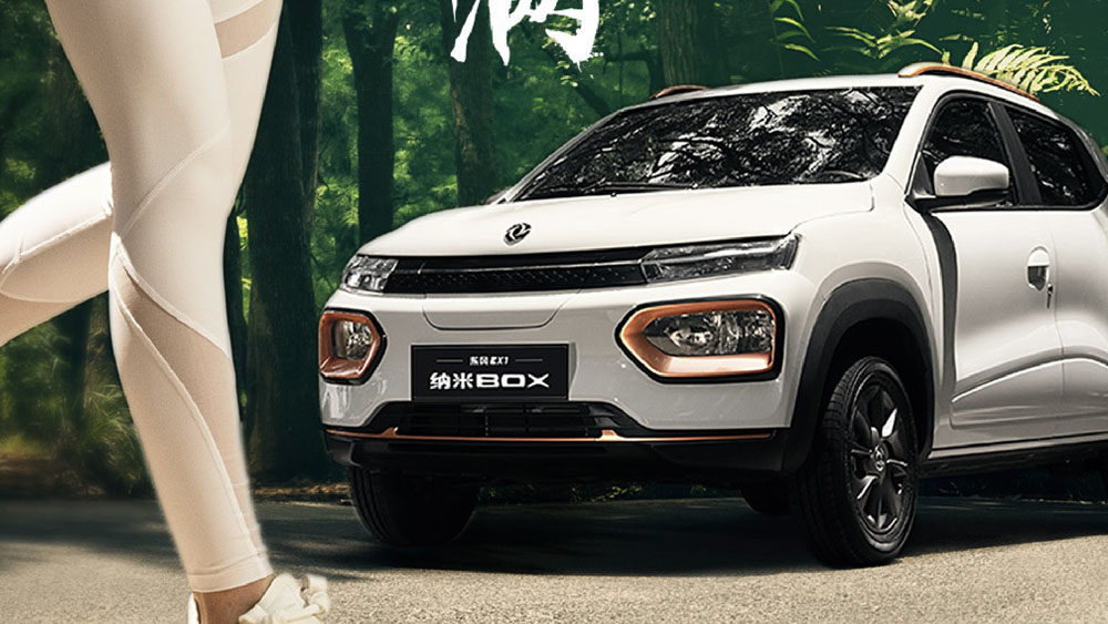 2022 Dongfeng Nano Box 12 Motor16