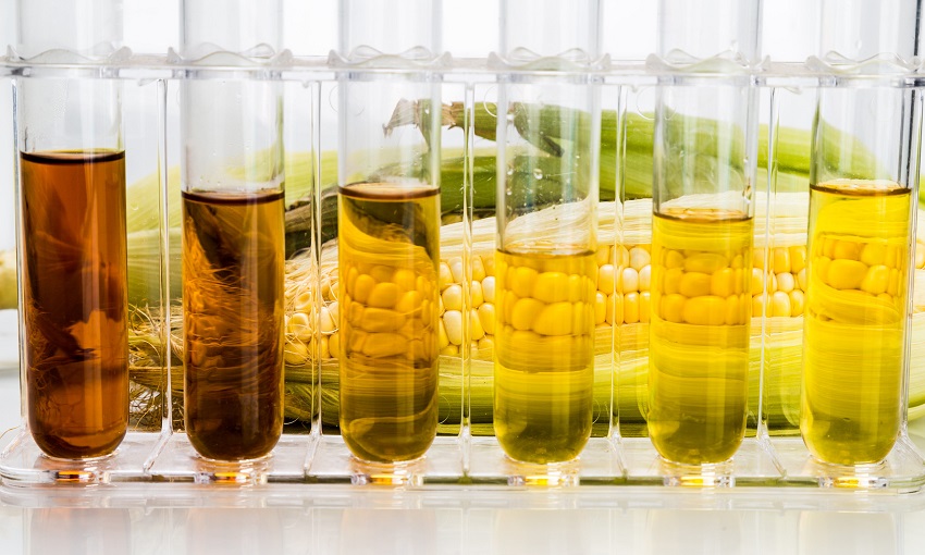 biocombustible