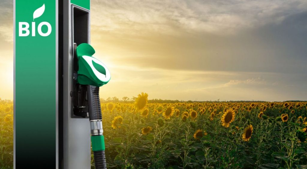 Los biocombustibles en el punto de mira: suben el precio de los alimentos 5 Motor16 REM16 Biocombustible 07 Motor16