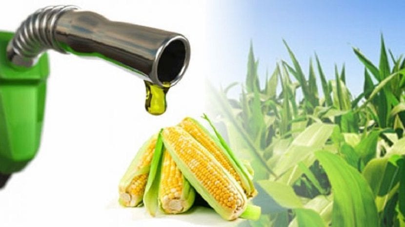 Los biocombustibles en el punto de mira: suben el precio de los alimentos 2 Motor16 REM16 Biocombustible 08 Motor16