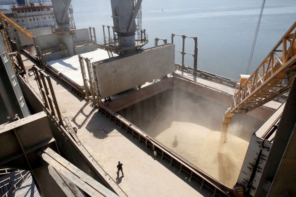 Los biocombustibles en el punto de mira: suben el precio de los alimentos 3 Motor16 REM16 Biocombustible 11 Motor16