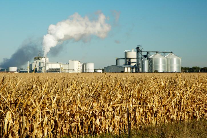 Los biocombustibles en el punto de mira: suben el precio de los alimentos 4 Motor16 REM16 Biocombustible 12 Motor16