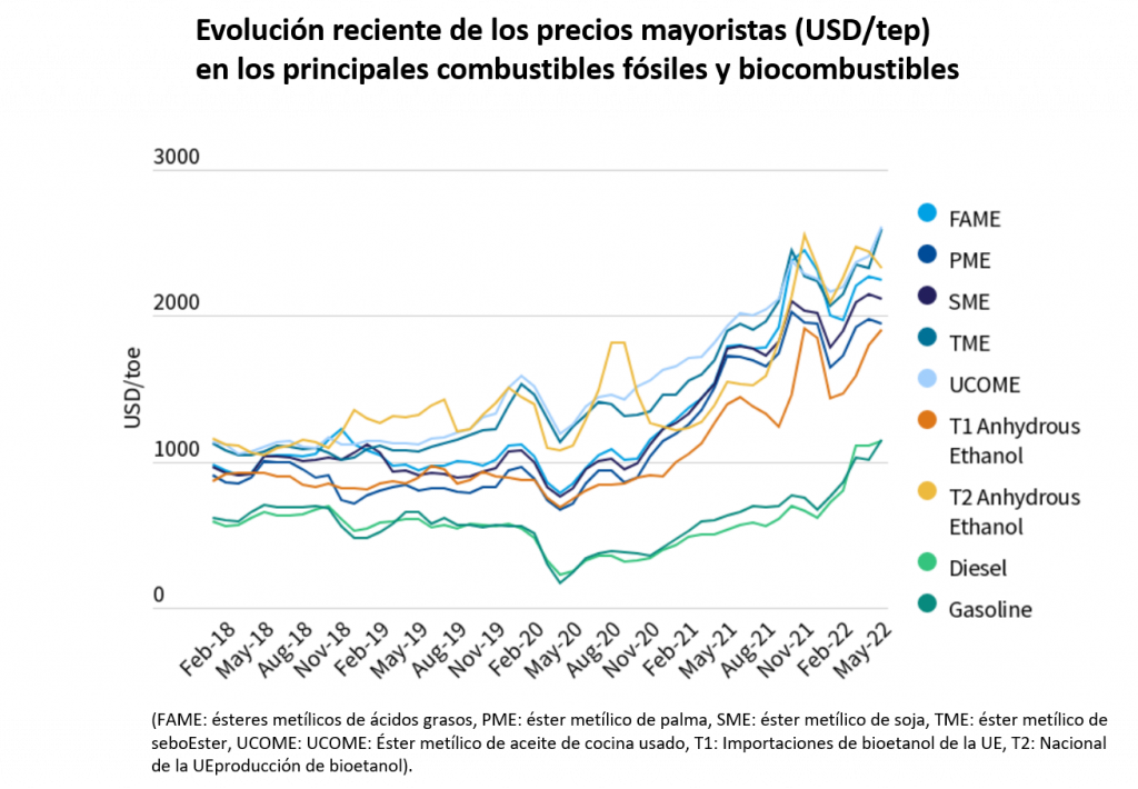 Los biocombustibles en el punto de mira: suben el precio de los alimentos 6 Motor16 REM16 Biocombustible 16 Motor16