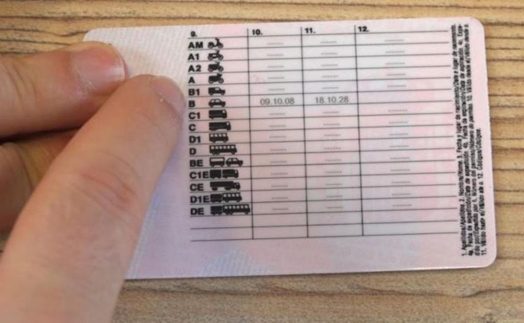 tipos de carnet reflejados
