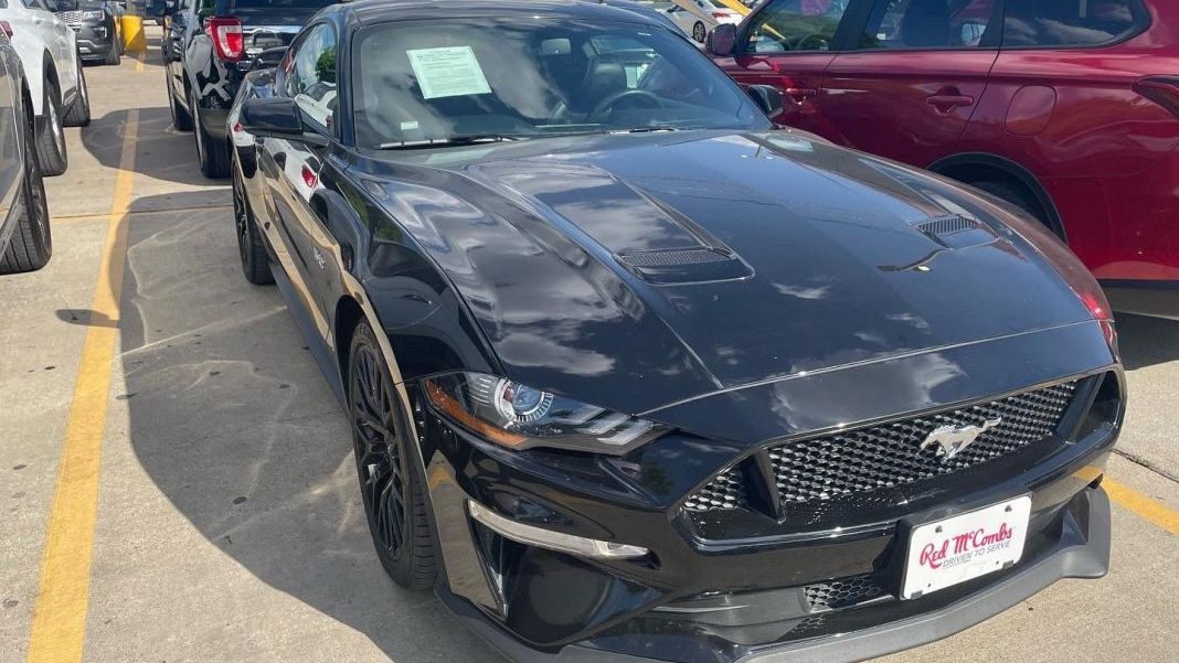 mustang
