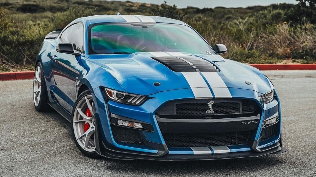 mustang