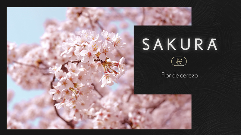 El diccionario de Lexus para entender la cocina japonesa 2 Motor16 lexus kabuki diccionario cocina japonesa3 Motor16