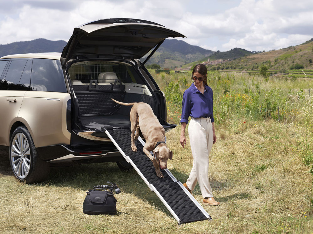 Si piensas viajar con tu perro en el coche, esta es la normativa que debes conocer 66 Motor16 transportar tu mascota coche 11 Motor16