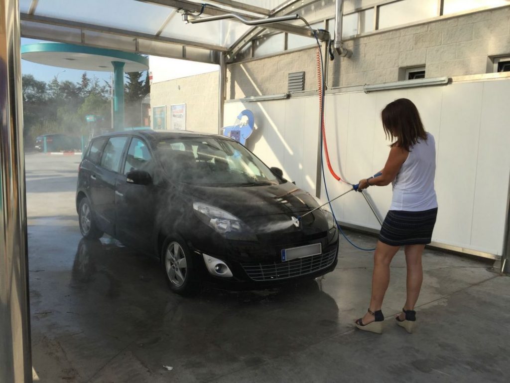 Lavado Motor16