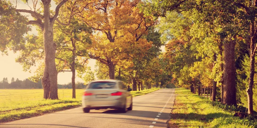 Para viajar seguro evita estos tramos de las carreteras españolas