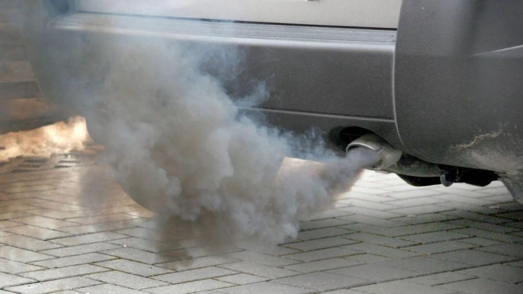 humo