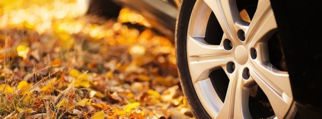 Los consejos de la DGT para un viaje de Navidad bajo la lluvia 146 Motor16 Consejos DGT para conducir bajo la lluvia
