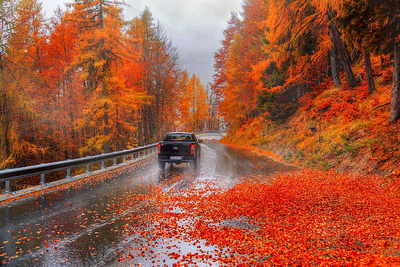 La marca de neumáticos que te da 80 euros para que viajes más seguro este otoño 1 Motor16 Los neumáticos son clave para la seguridad en la conducción en otoño.
