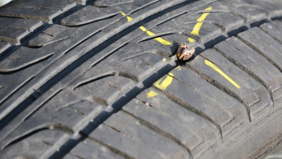 El accesorio que no te puede faltar en el coche. LIDL lo despacha a un precio de risa 57 Motor16 Así de sencillo es poner una rueda de repuesto si has pinchado