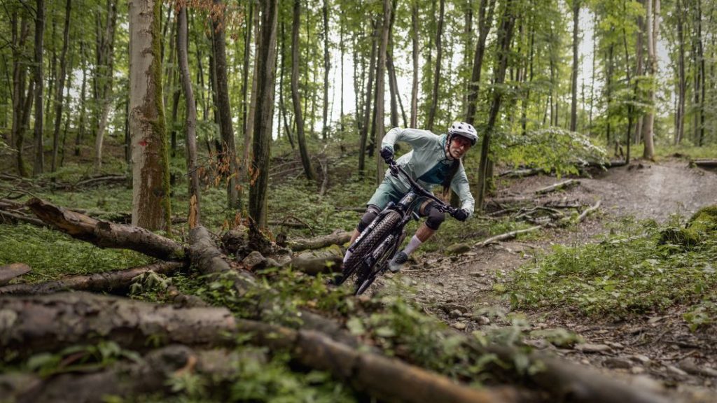 Porsche eBike Sport y Cross, con llamativas mejoras 5 Motor16 Porsche eBike motor 16 1 1 Motor16