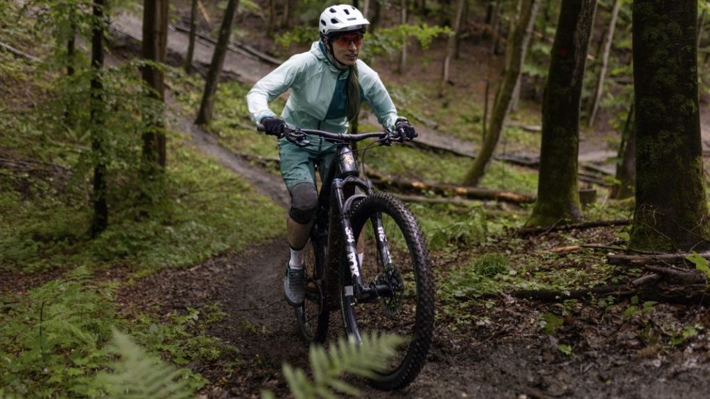 Porsche eBike Sport y Cross, con llamativas mejoras 17 Motor16 Porsche eBike motor 16 13 2 Motor16