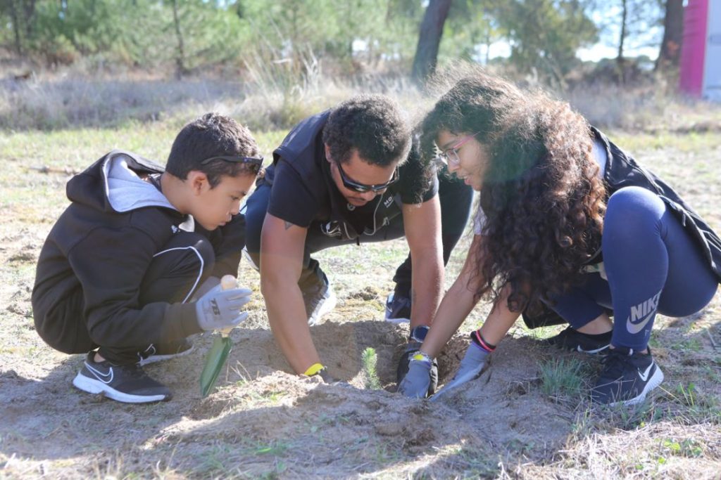 Así ayudan Renault y sus clientes a preservar el planeta 2 Motor16 Renault planta bosque Valladolid3 Motor16