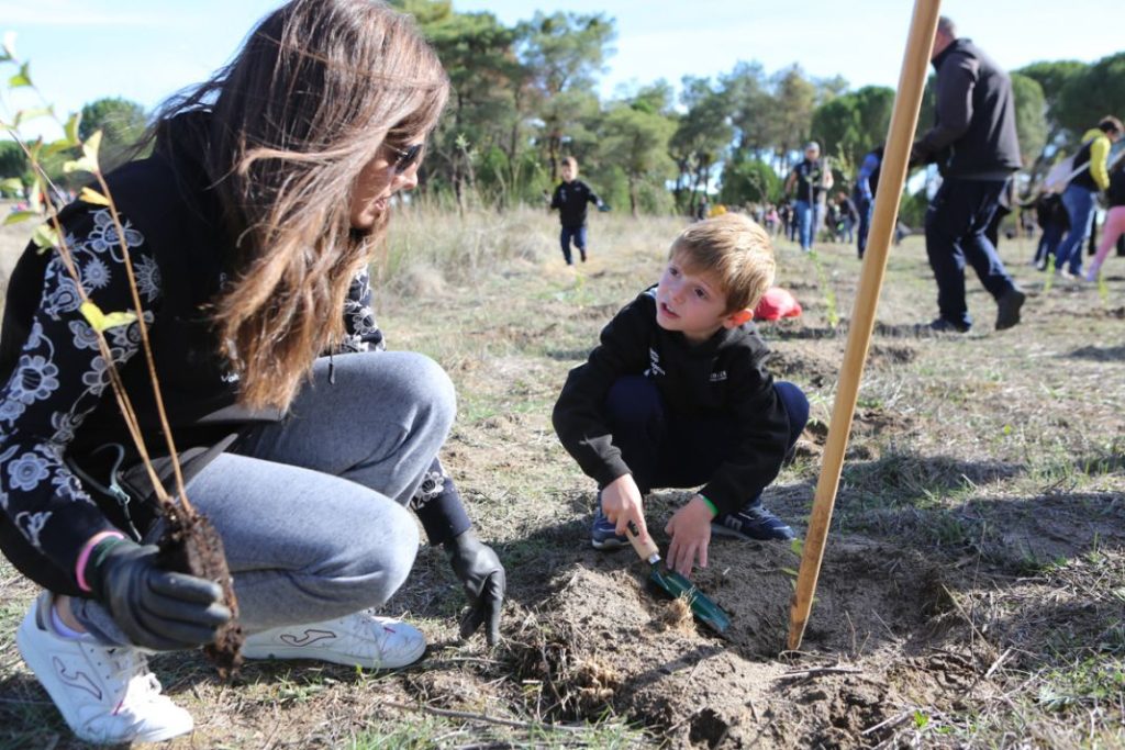 Así ayudan Renault y sus clientes a preservar el planeta 3 Motor16 Renault planta bosque Valladolid4 Motor16
