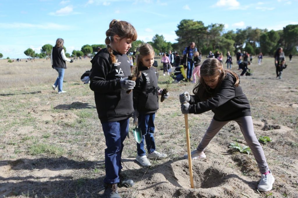 Así ayudan Renault y sus clientes a preservar el planeta 4 Motor16 Renault planta bosque Valladolid5 Motor16