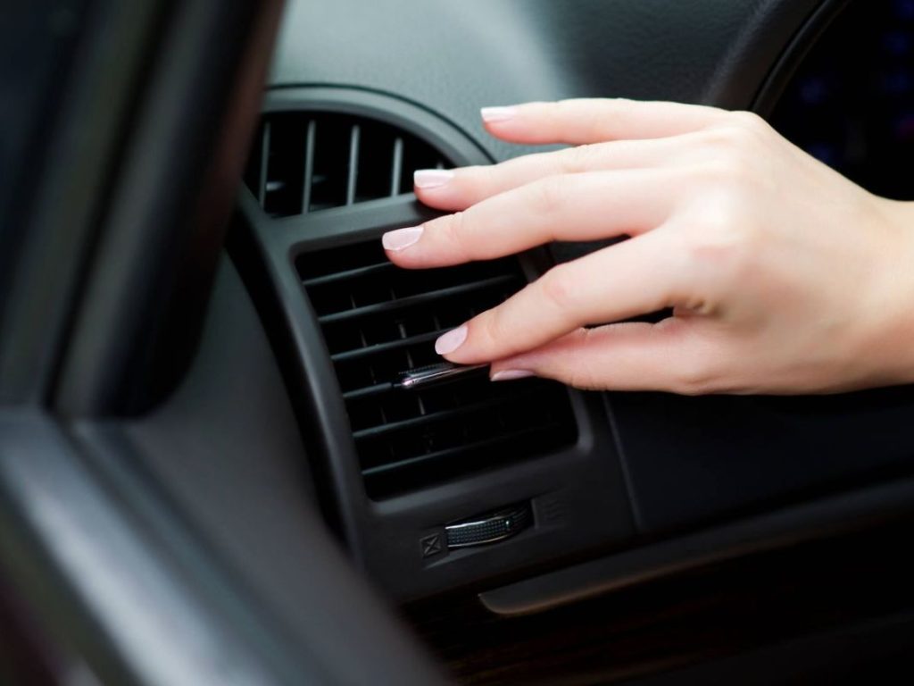 Ola de calor: nunca dejes a tu mascota en el coche y otros consejos de la DGT útiles al volante 63 Motor16 calor Motor16