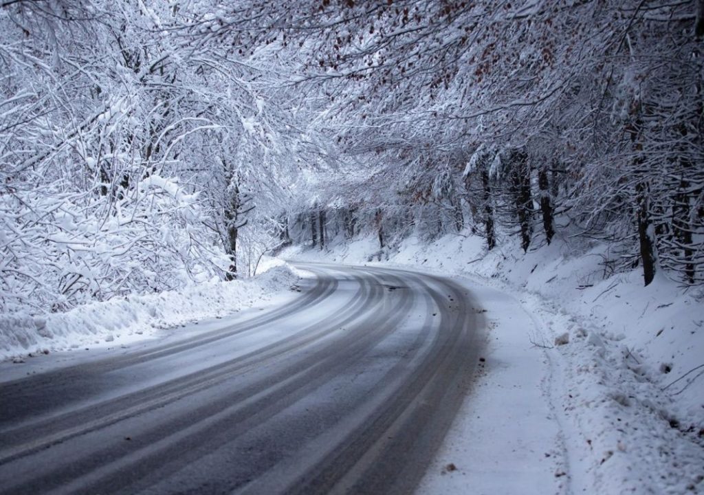 nievee Motor16