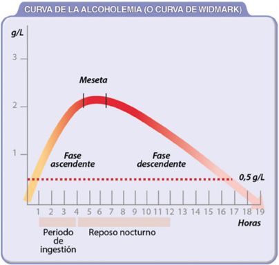 ¿Cuánto tiempo ha de pasar para no dar positivo en alcohol? 16 Motor16 Captura de pantalla 2020 09 21 a las 20.42.25 Motor16