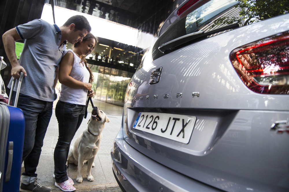 El motivo por el que propietarios de caravanas y camper respiran con la nueva ley de bienestar animal 119 Motor16 motor16Perros en electricos06 Motor16