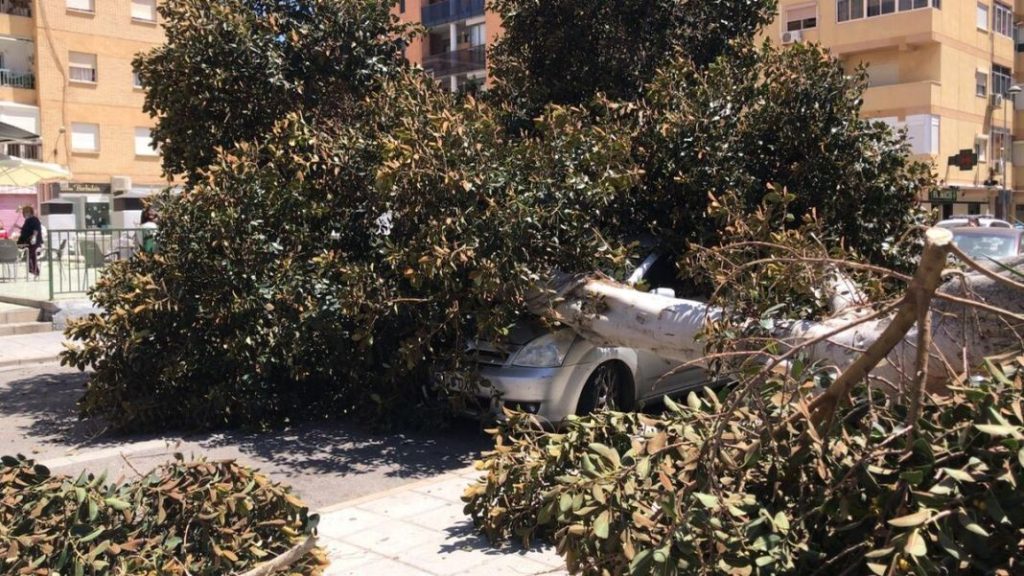 Se acerca la borrasca Gérard: sigue estos consejos de la DGT para conducir seguro 145 Motor16 consejos