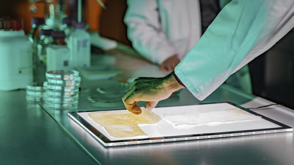 Volkswagen ID: desechos marinos y botellas de plástico para su interior 9 Motor16 Volkswagen ID 6 Motor16