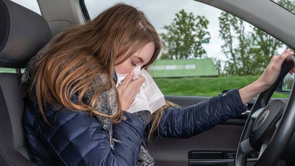La DGT alerta sobre los peligros de las alergias al polen en el coche 1 Motor16 Alergias al polen.