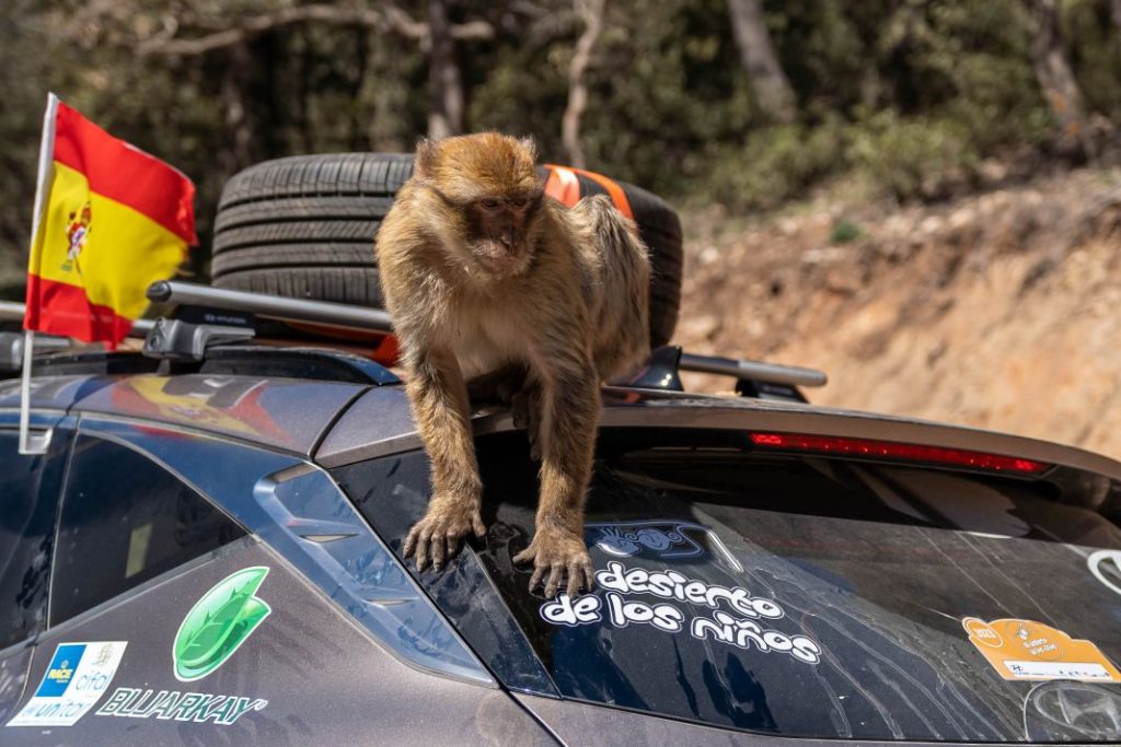 Hyundai Ioniq 5 AWD: El Desierto de los Niños ha sido más solidario que nunca… y más eléctrico 39 Motor16 El Desierto de los ninos 14 Motor16
