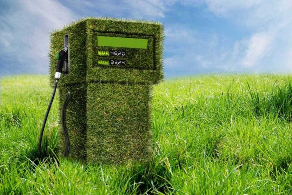 Huelva tendrá la mayor planta de fabricación de biocombustibles gracias a la inversión de esta petrolera española 13 Motor16 biocombustibles
