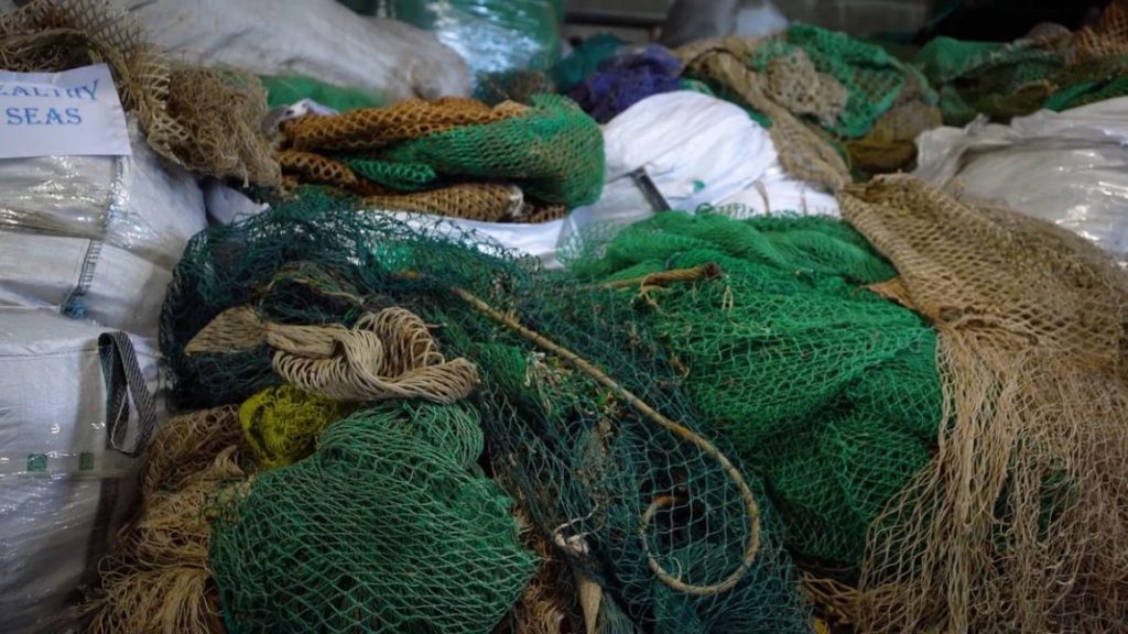 Hyundai y Healthy Seas 202310 1 Motor16